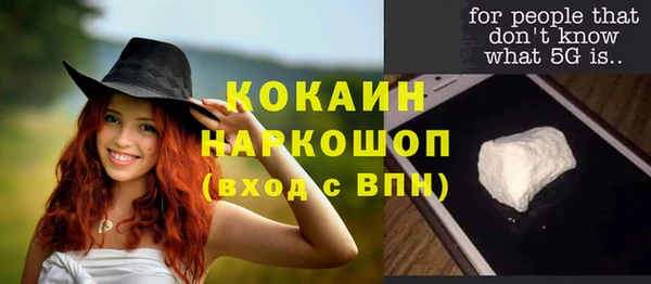 соль ск Козловка