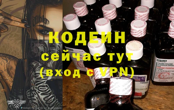 спиды Кодинск