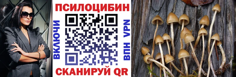 что такое   Азов  Псилоцибиновые грибы прущие грибы 